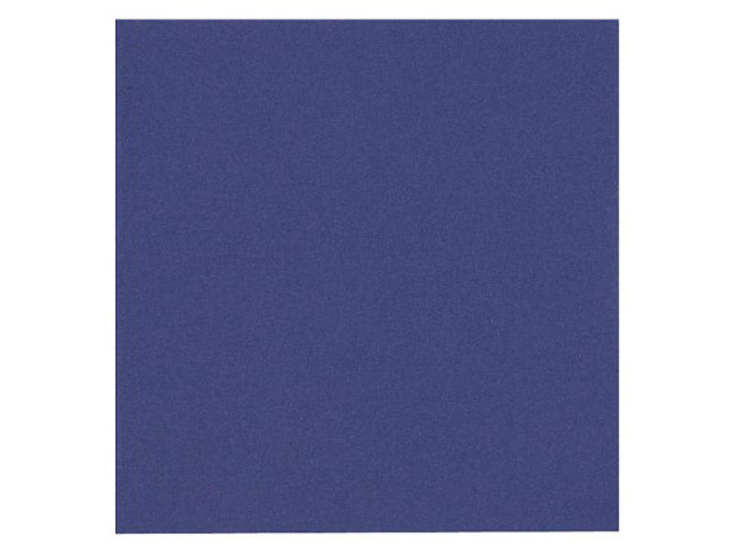 Servietter 24x24 cm 2-lags mørkeblå 100 stk