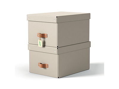 Opbevaringskasse Leitz Puro medium beige 2 stk