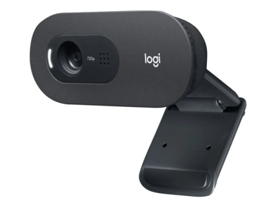Webcamera Logitech C505E sort