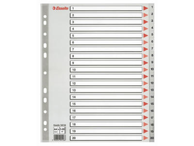 Talregister A4 Maxi Esselte 1-20 grå