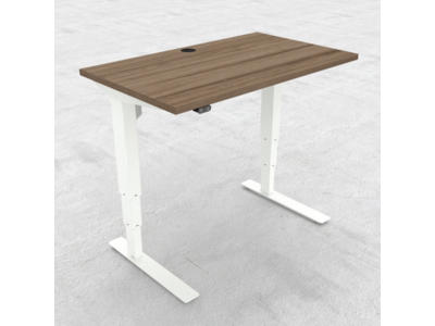 Hæve-/ sænkebord 100x60 cm valnød med hvidt stel