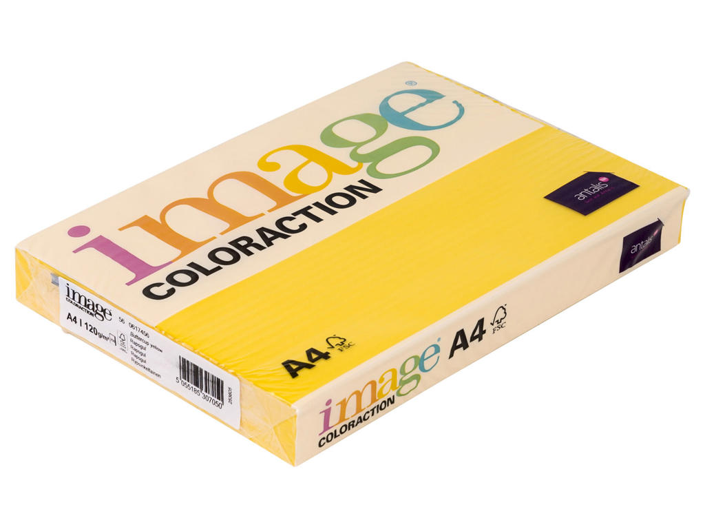 Kopipapir A4 | 120 g | Mustard Sevilla | 250 ark