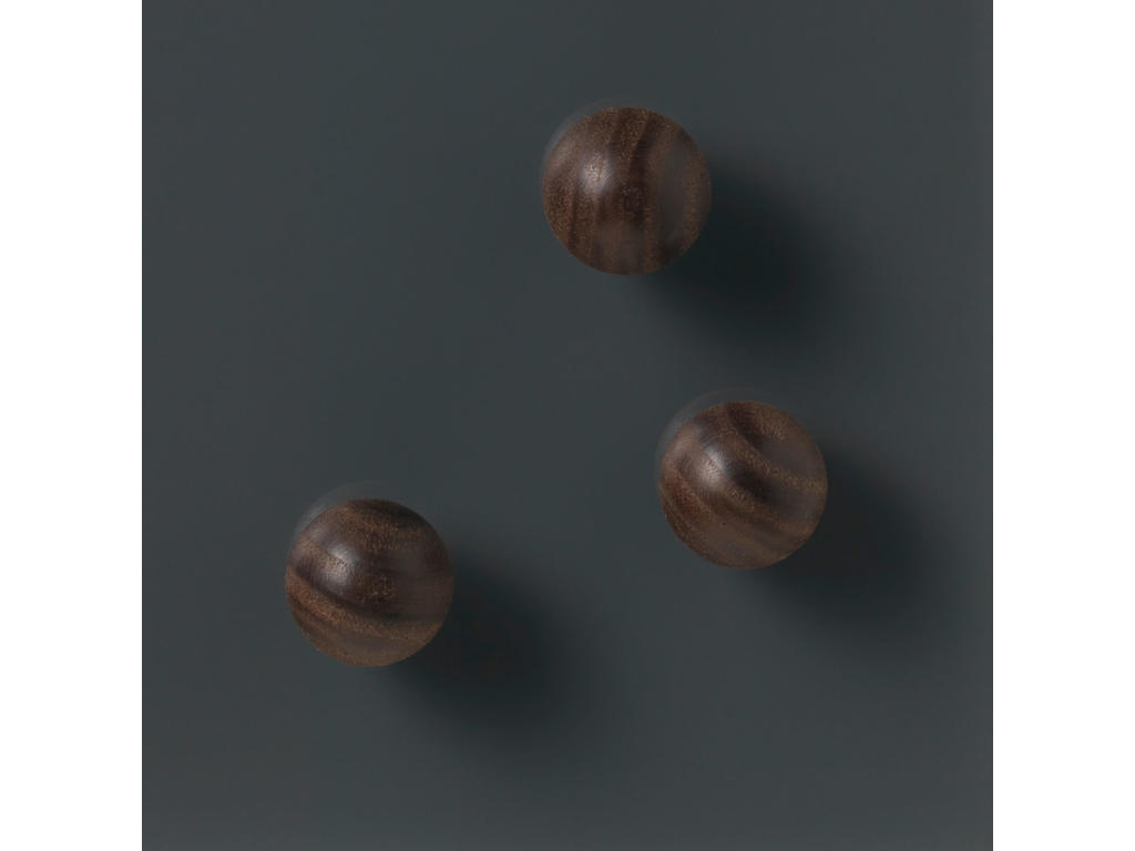 Magneter | Naga | til glastavle | kugle | valnød | 3 stk