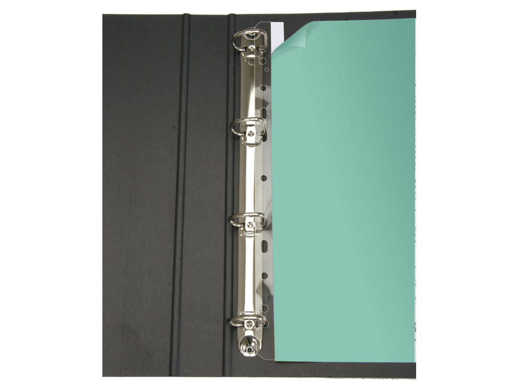 File Strips A4 100 stk