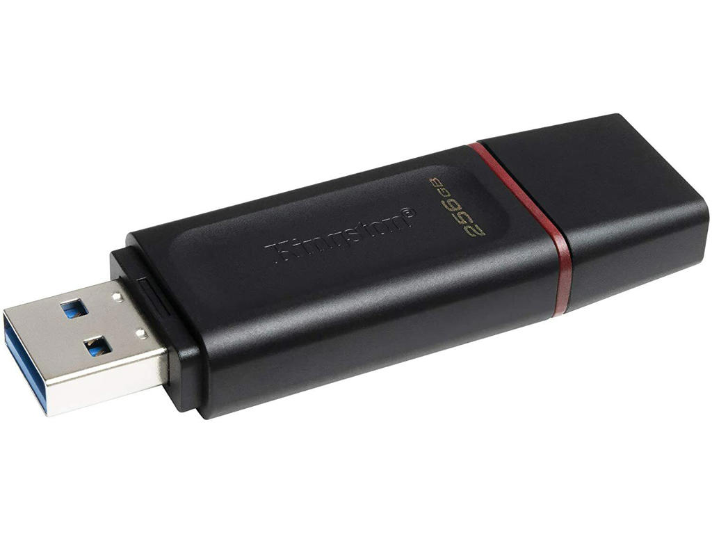 Usb nøgle 3.2 Kingston DataTraveler 256 GB 