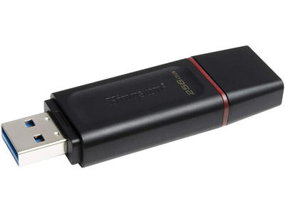 Usb nøgle 3.2 Kingston DataTraveler 256 GB 