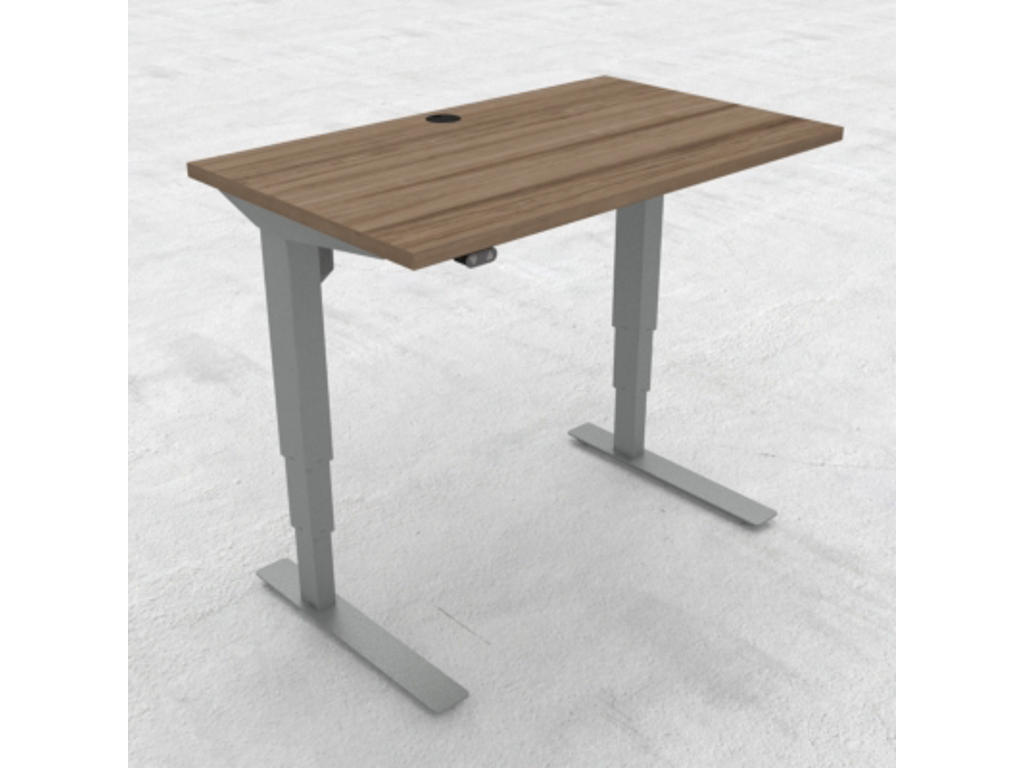 Hæve-/ sænkebord 100x60 cm med sølv stel