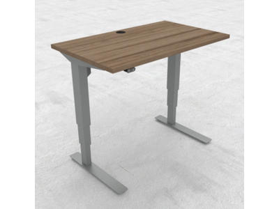 Hæve-/ sænkebord 100x60 cm med sølv stel