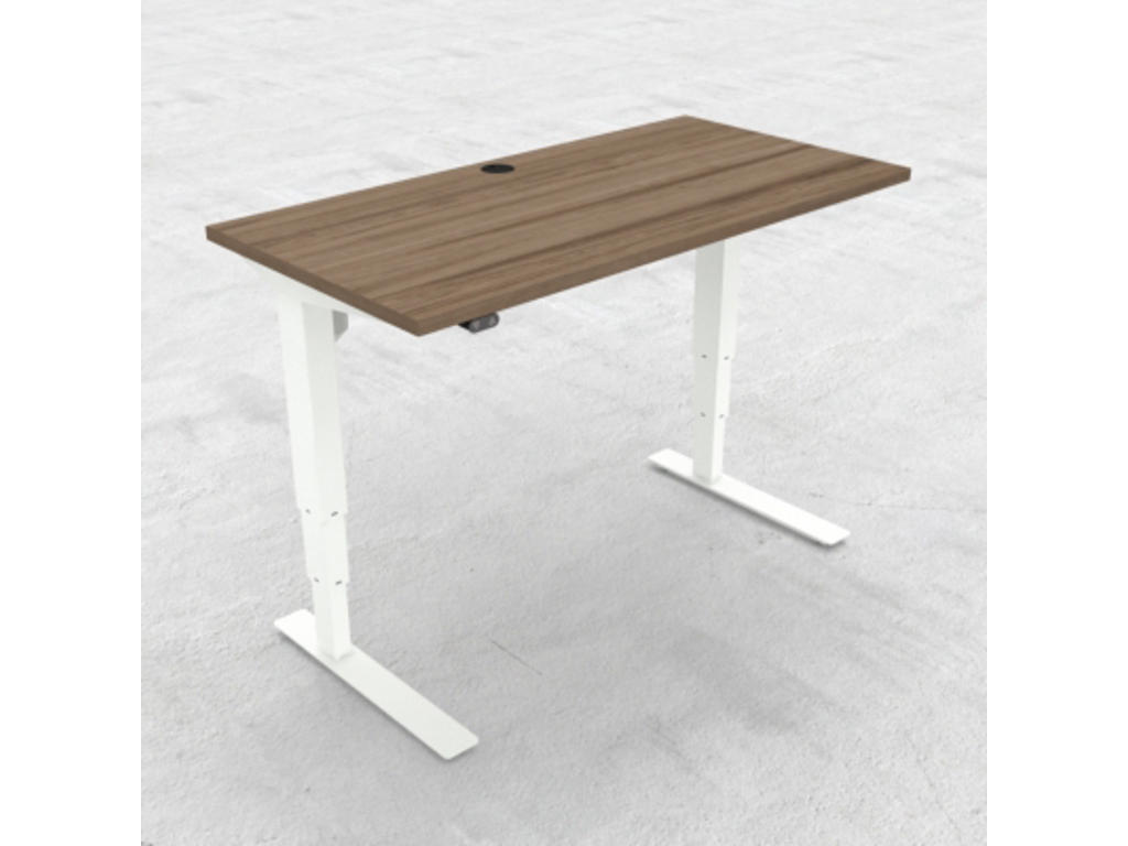 Hæve-/ sænkebord 120x60 cm med hvidt stel