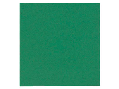 Servietter 24x24 cm 2-lags grøn 100 stk