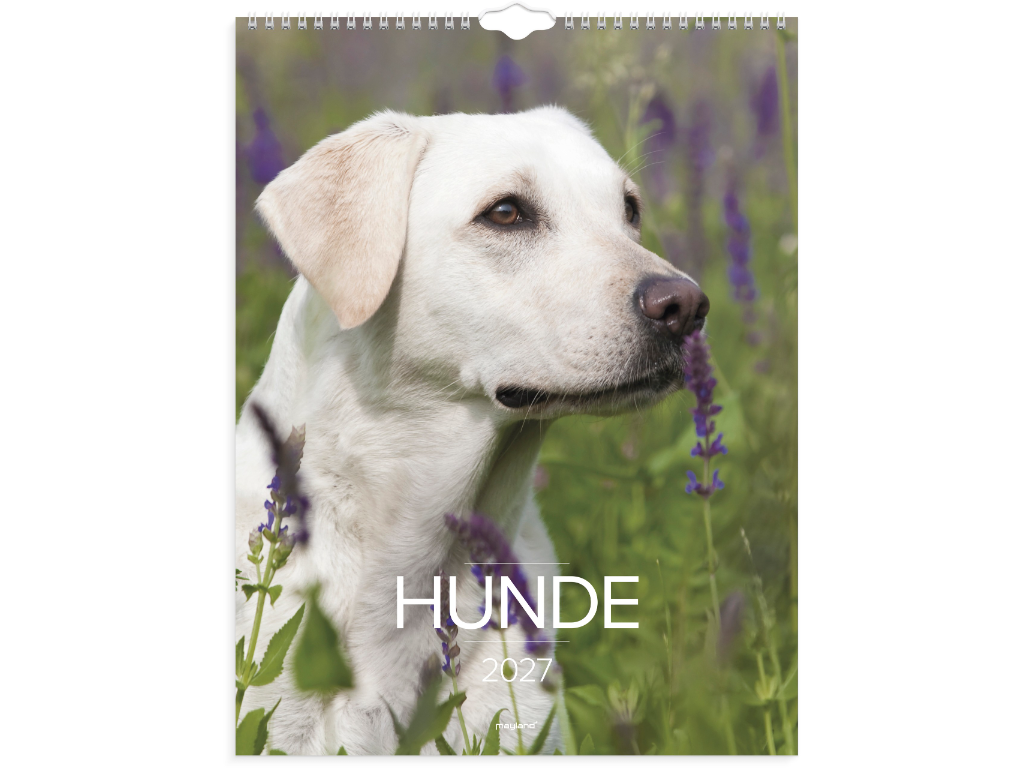 Vægkalender Hunde 2027