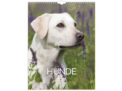Vægkalender Hunde 2027