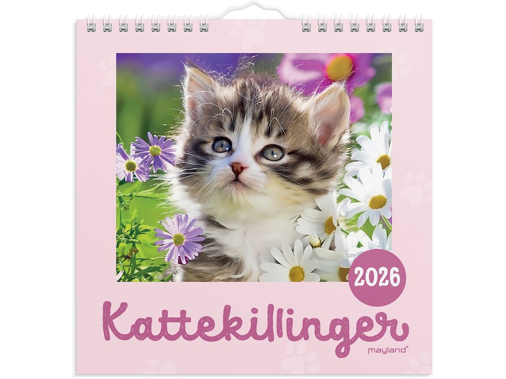 Vægkalender mini Kattekillinger 2026