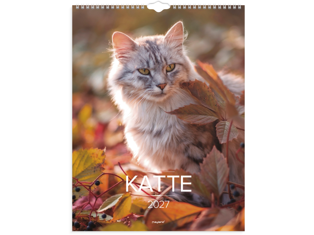 Vægkalender Katte 2027
